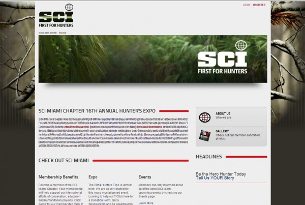 Web Design for SCI Miami Chapter