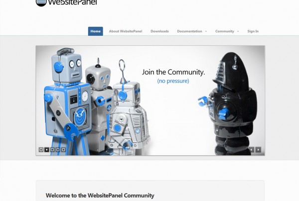 Web Design for WebsitePanel